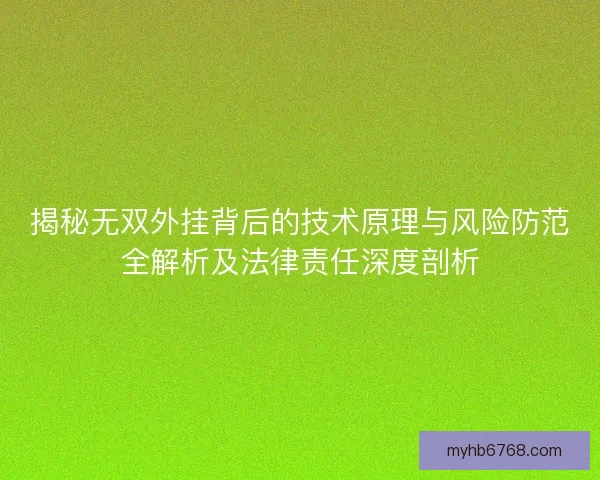 揭秘无双外挂背后的技术原理与风险防范全解析及法律责任深度剖析